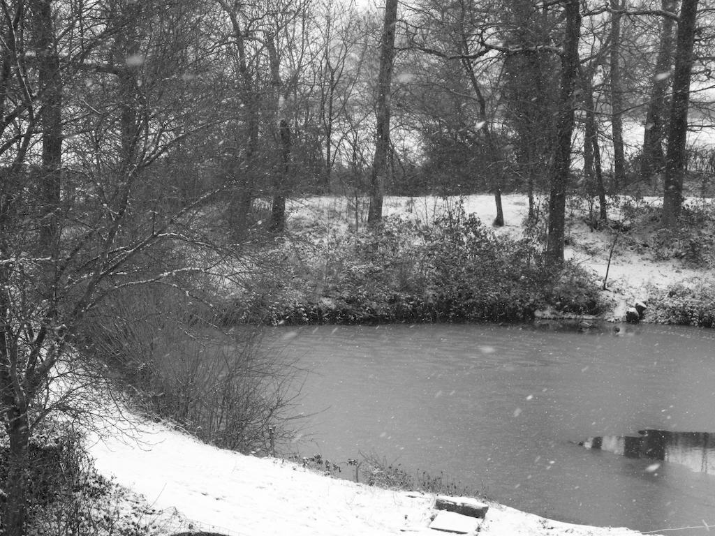 Meubles De Tourisme La Reserve Saint-Pierre-les-Bois Екстер'єр фото